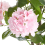 Beliani Artificial Plant HORTENSIUM 90 cm Pink 4
