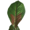 Beliani Artificial Plant PURPURATA 130 cm Red 5
