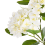Beliani Artificial Plant HORTENSIUM 120 cm White 4