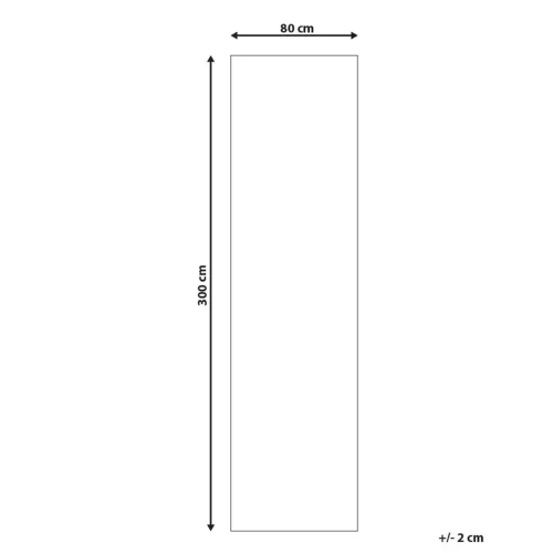 Beliani Rug ANTERO Light Grey 80 x 300 cm 2