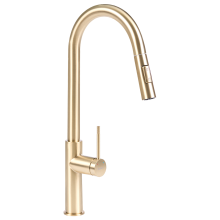 Kitchen Pull Out Tap PARANAM Gold