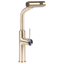 Kitchen Pull Out Tap PEGUCHE Gold