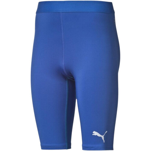 Puma (16 Years, Blue) Puma Childrens/Kids Performance Training Shorts