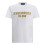 Dsquared2 (M, White) DSquared2 Mens Milano Cotton T-Shirt 1