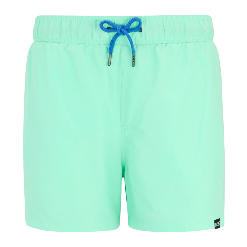 Regatta (Xl, Ice Green/Sonic Blue) Mens Mawson Ii Swim Shorts