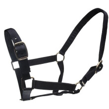 (Pony, Black) Roma Horse Headcollar And Leadrope