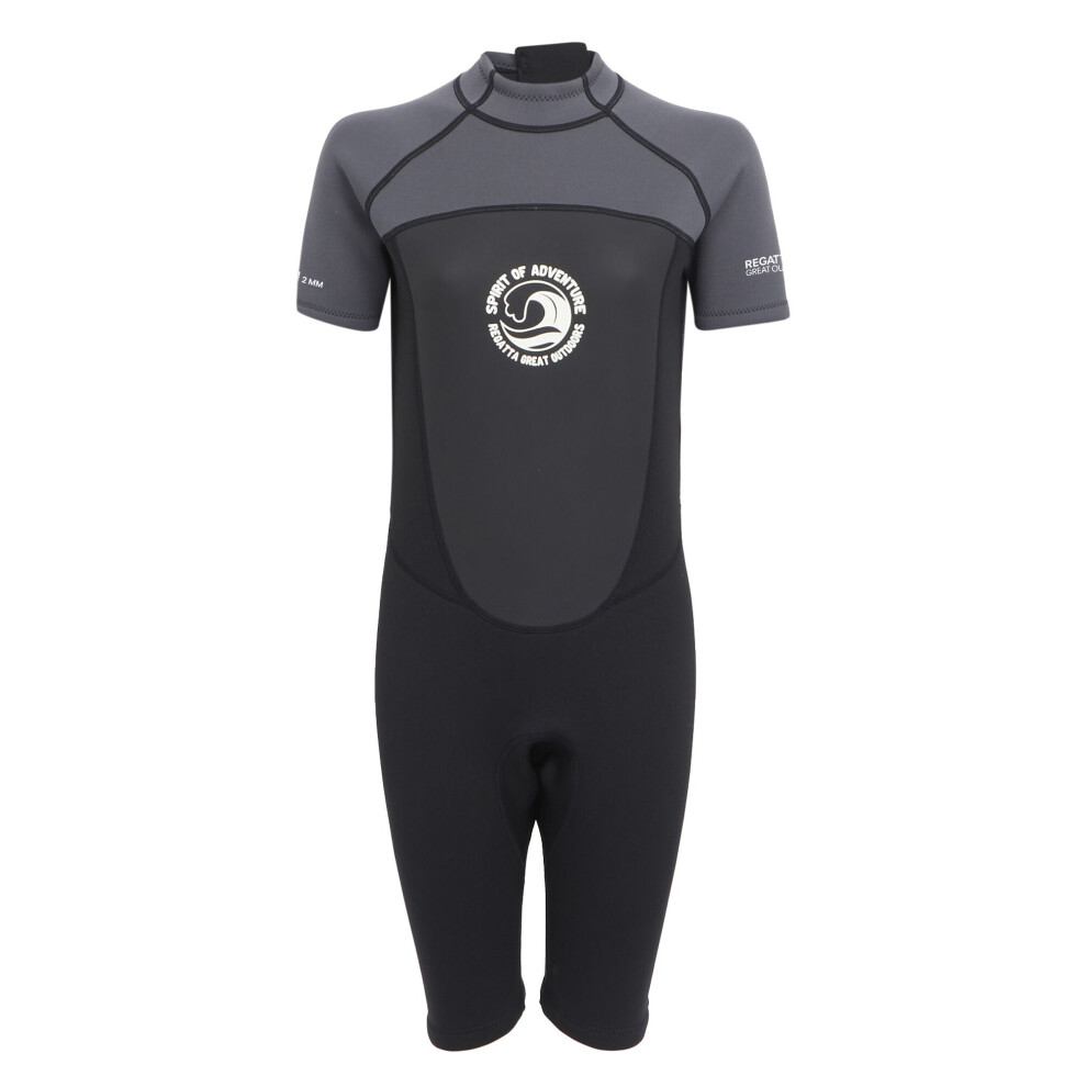 Photos - Wetsuit Regatta   Womens/Ladies Shorty  (20 UK - 22 UK, Dark Grey/Black)