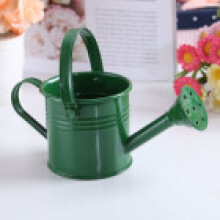 (Dark Green)Mini chaleira de flores pulverização de água vaso de metal garrafa de rega decoração para casa jardim