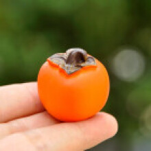 (Persimmon)Resin Fruit Miniature Blind Bag Set With Realistic Model For Kids Collectors And