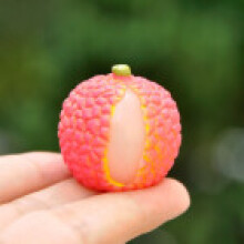 (Lychee)Resin Fruit Miniature Blind Bag Set With Realistic Model For Kids Collectors And
