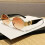 (Orange)Óculos de sol geométricos com lentes de PC para dirigir e passeios da moda de verão 1