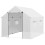 Polyethylene Walk-in Polytunnel Greenhouse, 2 x 3(m), White 2
