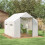 Polyethylene Walk-in Polytunnel Greenhouse, 2 x 3(m), White 3