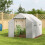Polyethylene Walk-in Polytunnel Greenhouse, 2 x 3(m), White 4