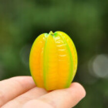(Carambola)Resin Fruit Miniature Blind Bag Set With Realistic Model For Kids Collectors And