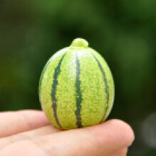 (Watermelon)Resin Obst Miniatur Blind Bag Set mit realistischem Modell für Kinder Sammler und