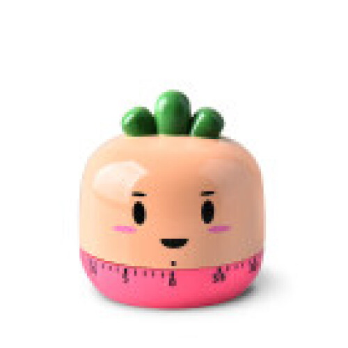 (Carrot) Vegetables Mechanical Themed Timer Food And Study Activities Children Learning