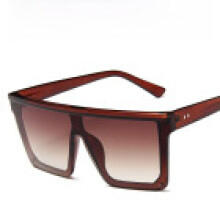 (DarkBrownDualFrame)Occhiali moda oversize trendy con lenti pc non polarizzate per feste e street style