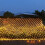 Led Net Mesh Fairy String 4