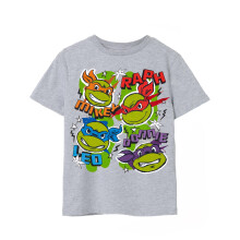 (9-10 Years) Teenage Mutant Ninja Turtles Short Sleeved T-Shirt (Unisex Kids Grey)