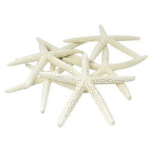12PCS White Finger Starfish 5-10cm Decorative five-finger starfish