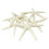 12PCS White Finger Starfish 5-10cm Decorative five-finger starfish 1