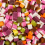 (1kg Sweet Pouch) Dolly Mixture 1