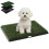 PawHut Inodoro para Perro Negro 63 x 50.5 x 3.5 cm 1