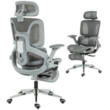 Ergonomic Office Chair, High Back Mesh Desk Chair, Grey
