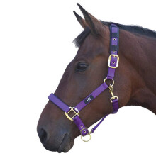 (Cob, Purple) Hy Deluxe Padded Head Collar