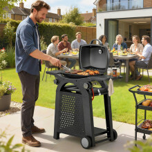 Outsunny 2 Burner Gas Grill, 3.8 KW Barbecue Grill with Cast Iron Grates