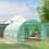 Outsunny Invernadero Verde 595 x 300 x 200 cm 5