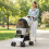 PawHut Carrito para Perro Gris 80 x 44.5 x 97 cm 6