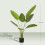 Homcom Planta Artificial Verde 15 x 15 x 109 cm 3