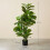 Homcom Planta Ficus Artificial Verde 15 x 15 x 110 cm 5