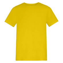 (5-6 Years, Sun Yellow) Awdis Childrens/Kids 150 Crew Neck T-Shirt