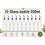 10 Pack 500ml Glass Olive Oil Dispenser Bottles 1
