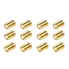 12er Pack Warme Weiße -LED-Lichter für Bastelarbeiten, Batteriebetrieben, Goldene -Lichter für Schattenkästen, Puppenhäuser, Ausstellungen