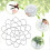 Flower Arrangement Holder 4PC Wire Flower Arranging Tool 5