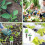 Hydroponic Garden Accessories Pod Kit Growing Basket 2