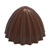 Chocolate World Polycarbonate Mould Juicer CW1926 Dutch Pastry Team