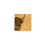 Highland Cow Single Oak Coaster 1