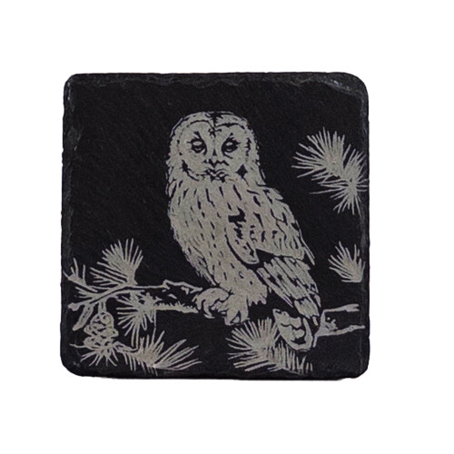 Tawny Owl Single Slate Coaster 2