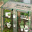 46 x 143cm Three-Shelf Mini Greenhouse - Clear 8