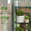 46 x 143cm Three-Shelf Mini Greenhouse - Clear 6