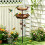 Freestanding Birdbaths Bowl 2