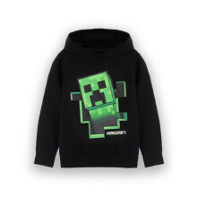 (9-10 Years) Minecraft Hoodie (Unisex Kids Black)