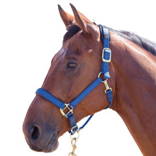 (X Small Pony, Navy) Shires Topaz Nylon Horse Headcollar