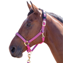 (Pony, Raspberry) Shires Topaz Nylon Horse Headcollar