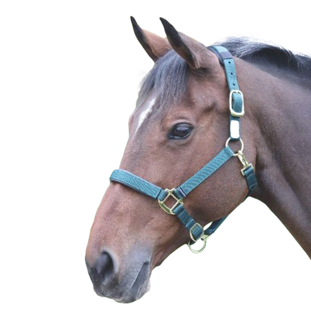 Photos - Equestrianism  Shires Topaz Nylon Horse Headcollar(Small Pony, Dark Green)